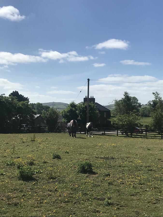 Отели типа «постель и завтрак» Fennor Lodge Oldcastle